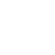BMW logo