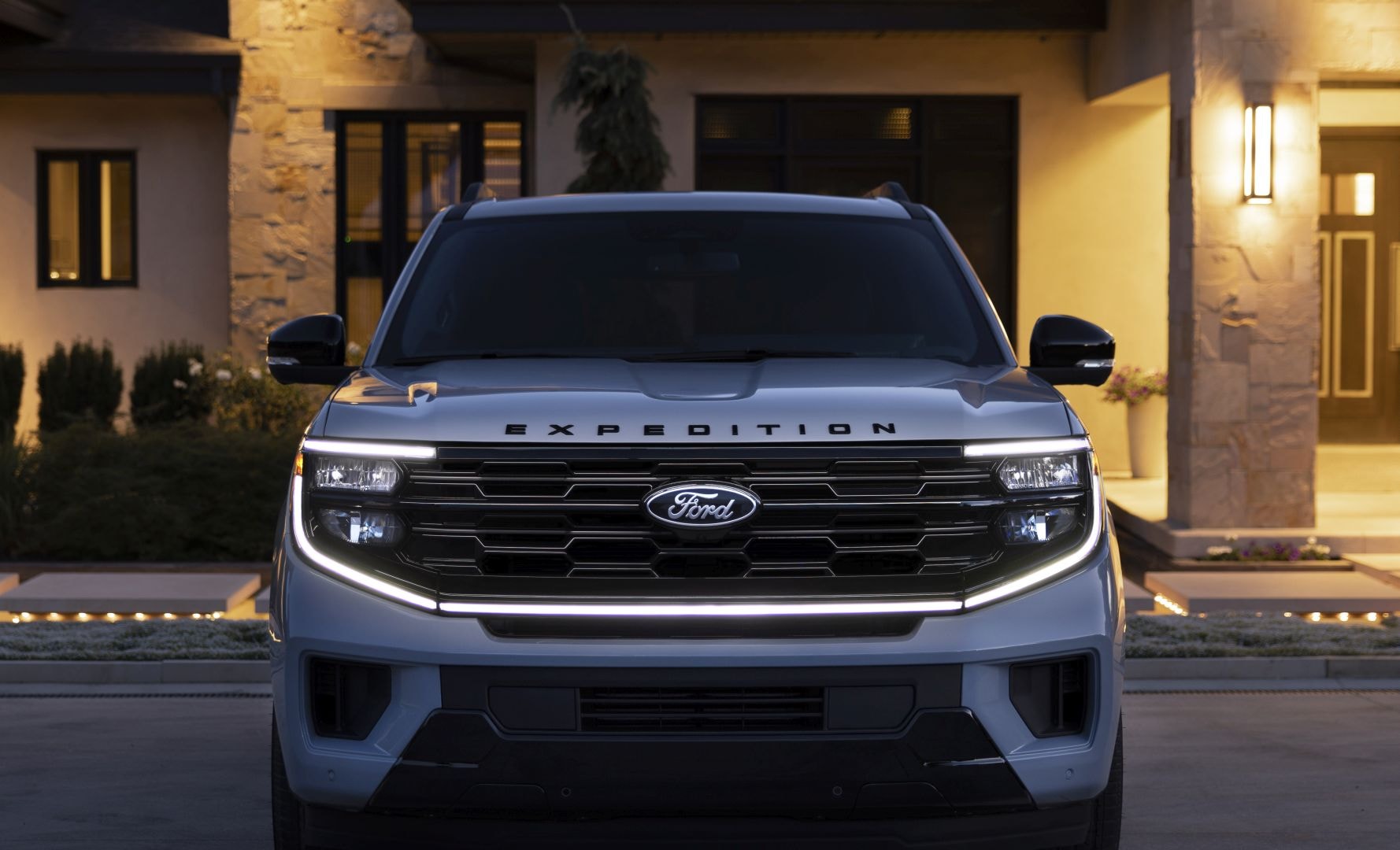 2025 Ford Expedition - Image 1