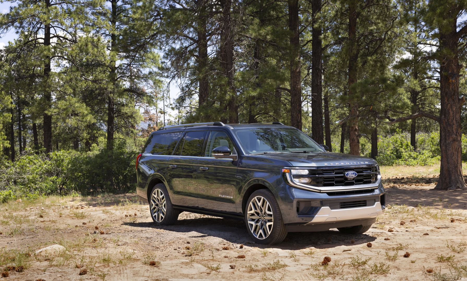 2025 Ford Expedition - Image 3