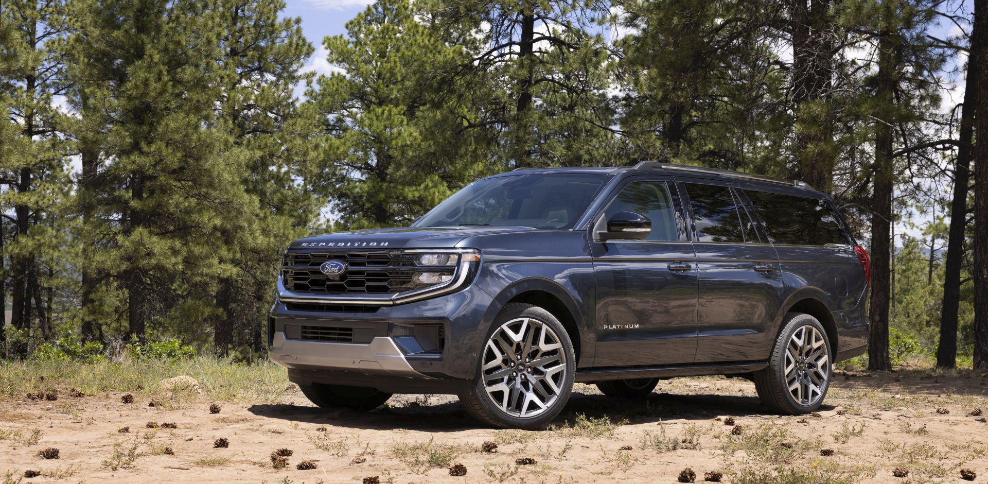 2025 Ford Expedition - Image 4